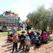 Afrin'den kaçanlar zeytinliklere sığındı...