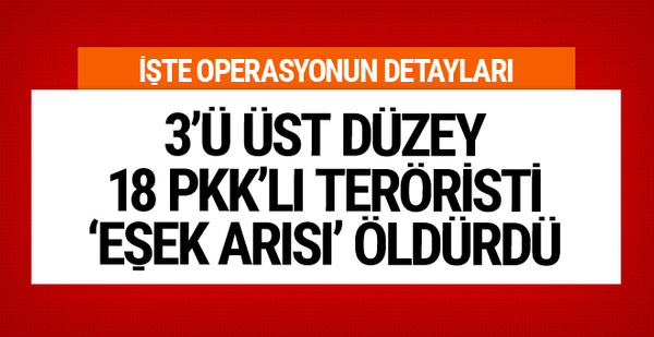 Cudi Dağı'nda 18 PKK'lı teröristi 'eşek arısı' öldürdü