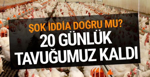 Beyaz ette kriz: Türkiyenin 20 günlük tavuğu kaldı, fiyatlar iki katına çıkabilir Beyaz ette kriz: Türkiyenin 20 günlük tavuğu kaldı, fiyatlar iki katına çıkabilir