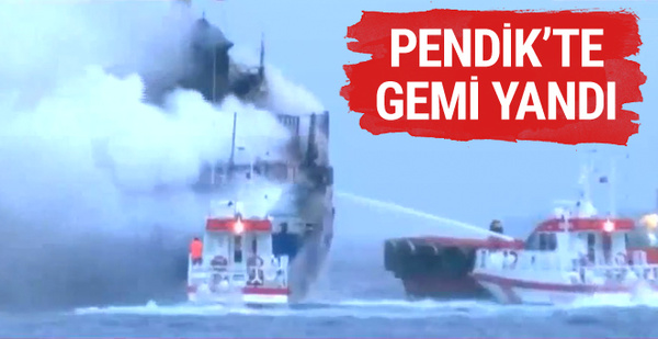 Pendik'te kuru yük gemisi yandı