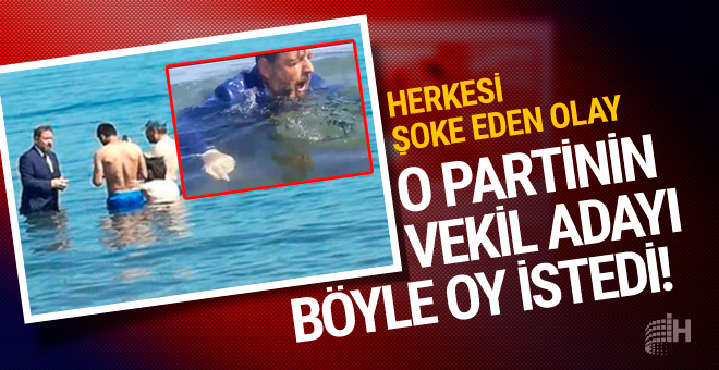 Türkmen wolfhound veya alabai: sahibi geri bildirimi 31