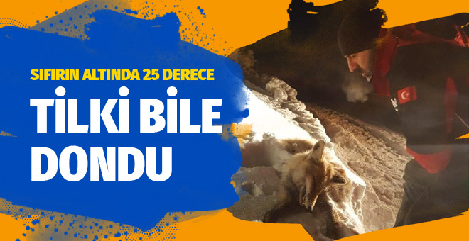 Fiyat artışı tespit edilen 1632 ürün için 441 bin 690 lira ceza verildi 100