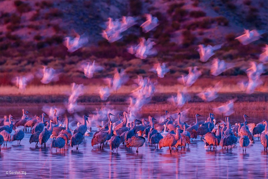 2016'nın en iyi fotoğrafları seçildi her kare müthiş!