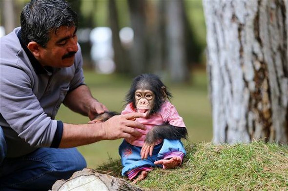 Gaziantep'te olay oldu onu annesi zannediyor