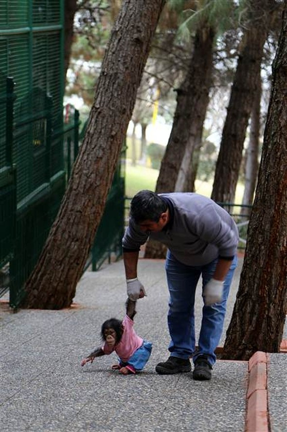 Gaziantep'te olay oldu onu annesi zannediyor