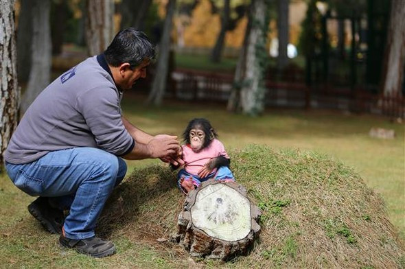 Gaziantep'te olay oldu onu annesi zannediyor