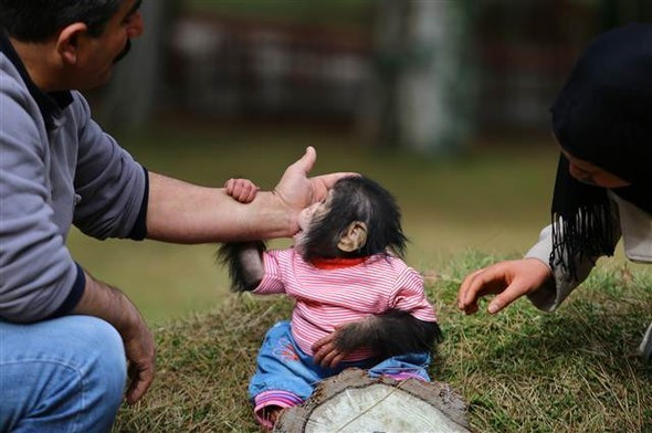 Gaziantep'te olay oldu onu annesi zannediyor