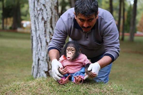 Gaziantep'te olay oldu onu annesi zannediyor
