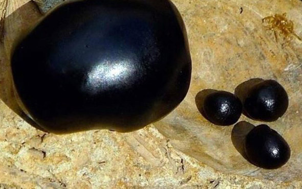 Gizli kalmış bir şifa kaynağı! Dağların gözyaşı mumiyo