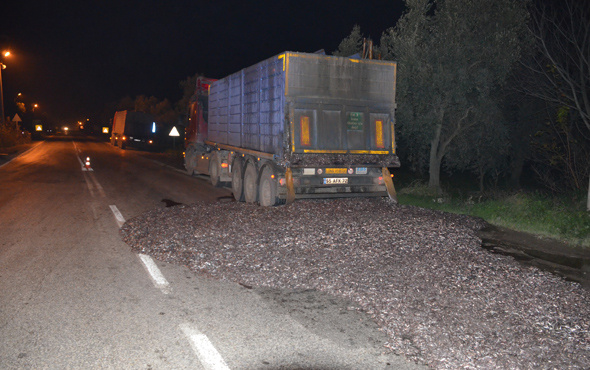 Kapağı açılan tır kasasındaki 15 ton hamsi yola döküldü Kapağı açılan tır kasasındaki 15 ton hamsi yola döküldü