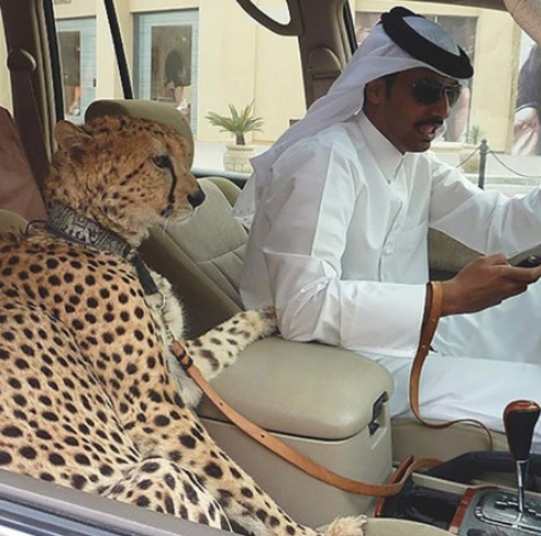 Dubai'nin bilinmeyen yÃ¼zÃ¼! Zenginler eÄlenirken fakirler sefalet iÃ§inde