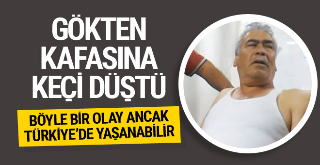 Bursada bir kişinin kafasına keçi düştü Bursada bir kişinin kafasına keçi düştü