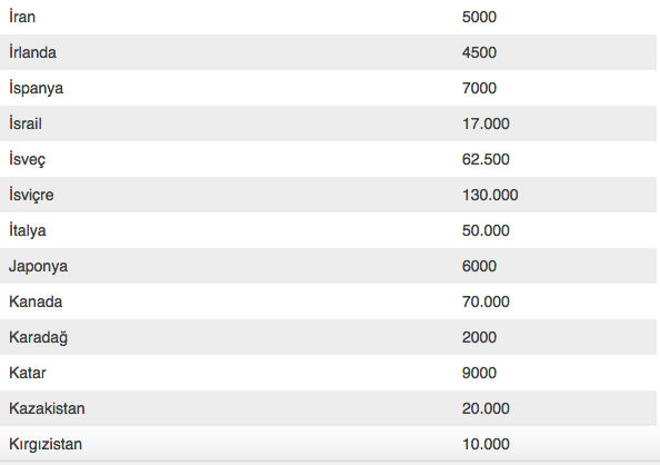 Yurt dışında yaşayan Türk sayısı ülke ülke açıklandı toplasan ülke olur