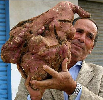 Largest black penis in the world