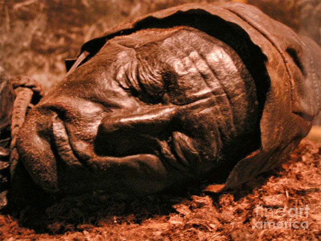 tollund man tollund man
