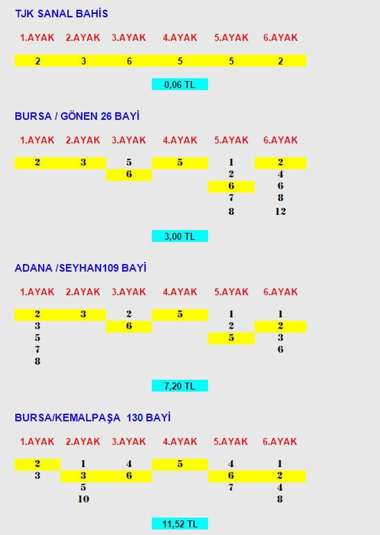 6 kuruşluk kupon yaptı 91 bin lira kazandı!