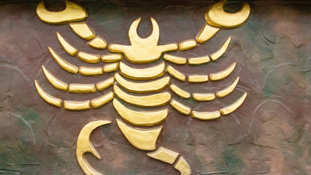 akrep burcu 2016 yorumları