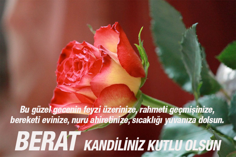 diyarbakir haber sitesi