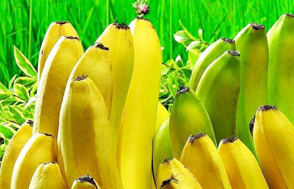 Cinsel isteği artıran yiyecekler! Bunlar afrodizyak Sağlık Haberleri Cinsel isteği artıran yiyecekler! Bunlar afrodizyak Sağlık Haberleri