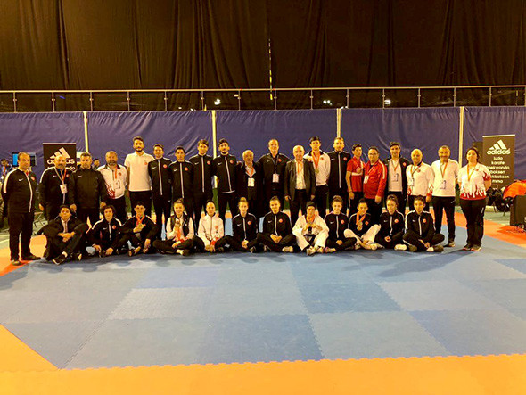 Türkiye Tekvando Milli Takım