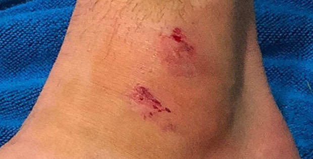 Hasan Ali Kaldırım