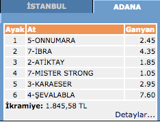 20 Şubat 2016 Adana at yarışı sonuçları