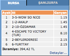 22 Şubat 2016 Bursa at yarışı altılı ganyan sonuçları