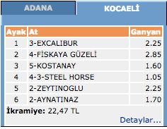 TJK at yarışı Kocaeli altılı ganyan sonuçları 1 Mart 2016 