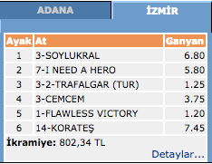 İzmir at yarışı sonuçları 13 Mart 2016 Pazar 