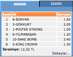 Adana at yarışı sonuçları 13 Mart 2016 Pazar