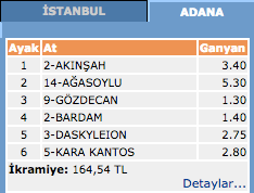 Adana at yarışı 19 Mart 2016 altılı ganyan sonuçları