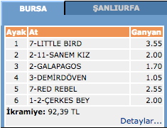 Bursa at yarışı 21 Mart 2016 altılı ganyan sonuçları