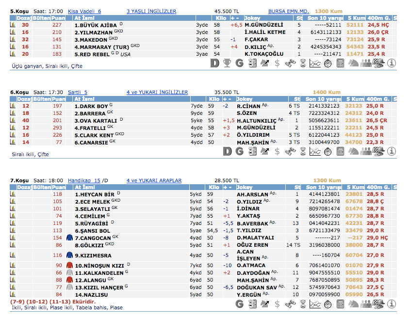 4 Nisan 2016 Pazartesi Bursa at yarışı bülteni ve tahminleri
