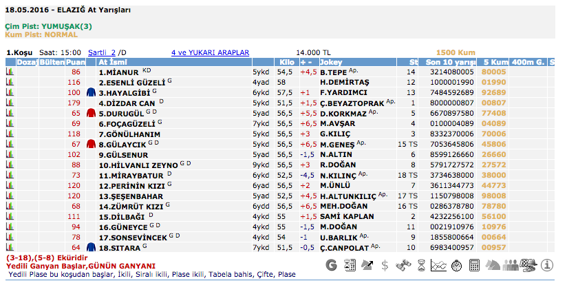 Elazığ TJK at yarışı 18 Mayıs 2016 altılı ganyan bülteni