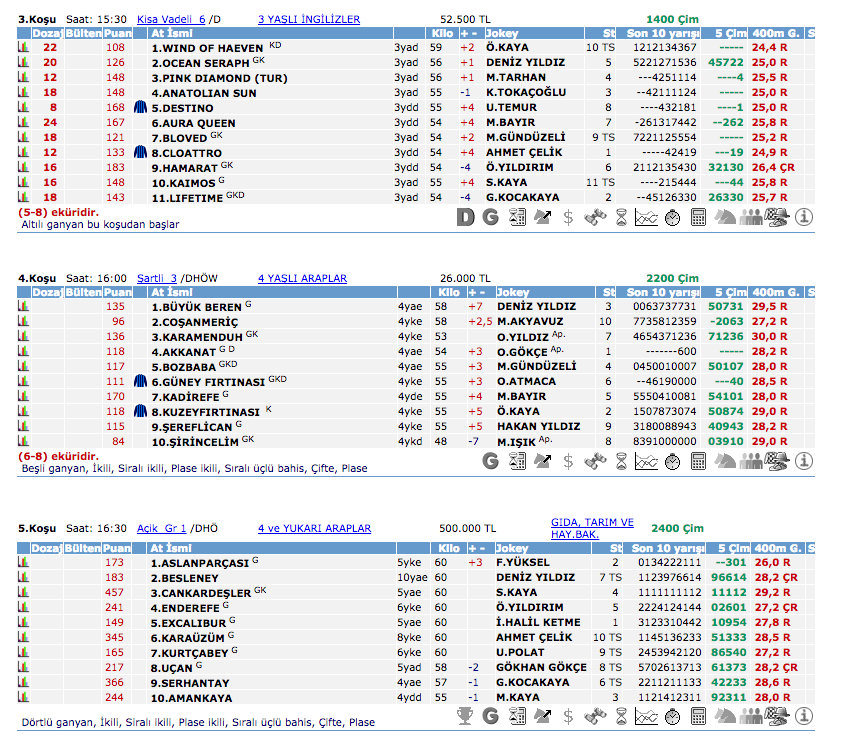 28 Mayıs 2016 Cumartesi Ankara at yarışı bülteni ve tahminleri