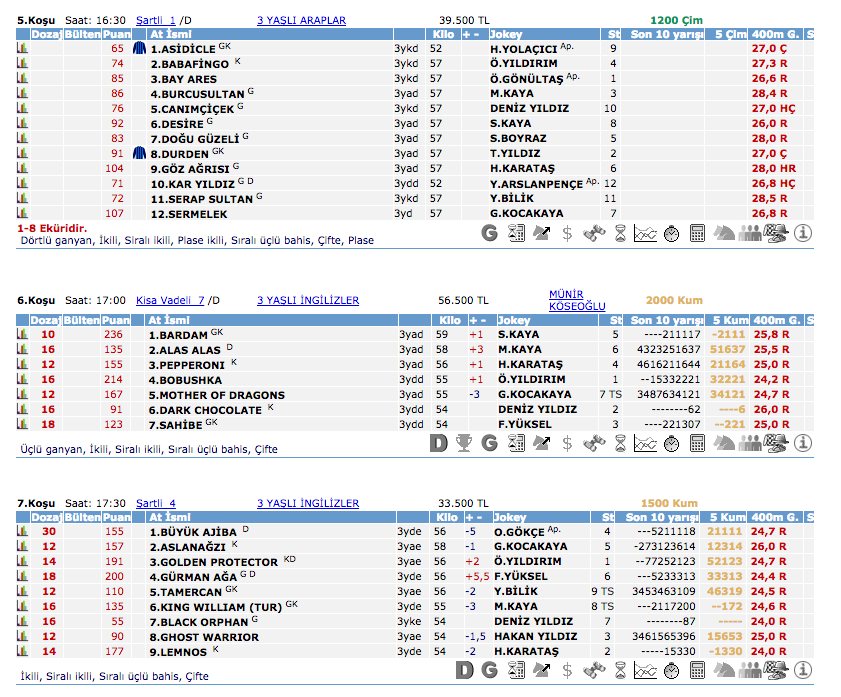 29 Mayıs 2016 Pazar İstanbul at yarışı bülteni ve tahminleri
