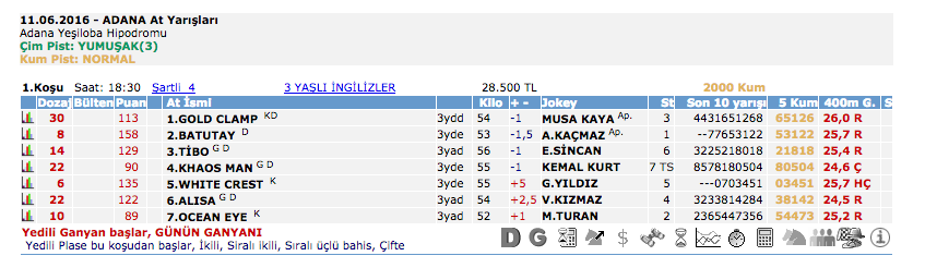 11 Haziran 2016 Cumartesi Adana at yarışı bülteni ve tahminleri