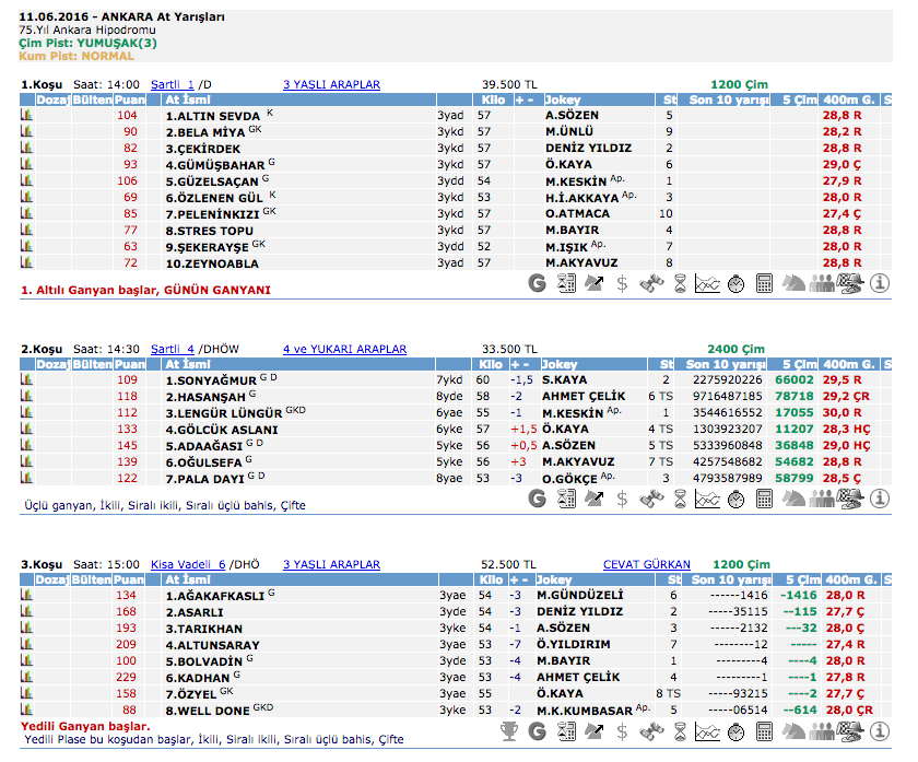 11 Haziran 2016 Cumartesi Ankara at yarışı bülteni ve tahminleri