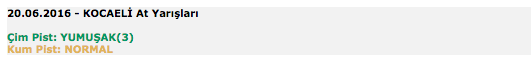 20 Haziran 2016 Pazartesi Kocaeli at yarışı bülteni ve tahminleri