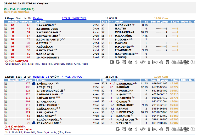 29 Haziran 2016 Çarşamba Elazığ at yarışı bülteni ve tahminleri
