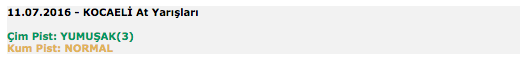 11 Temmuz 2016 Pazartesi Kocaeli at yarışı bülteni ve tahminleri