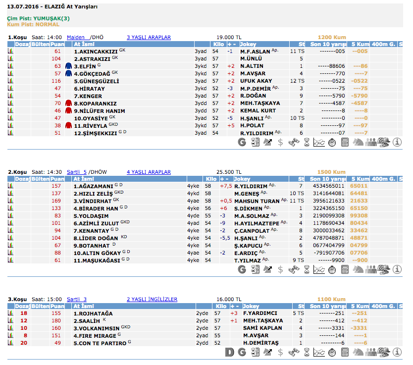 13 Temmuz 2016 Çarşamba Elazığ at yarışı bülteni ve tahminleri