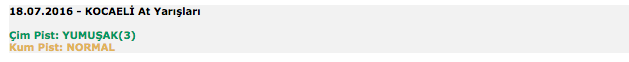 18 Temmuz 2016 Pazartesi Kocaeli at yarışı bülteni ve tahminleri