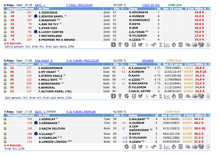 19 Temmuz 2016 Salı Ankara at yarışı bülteni ve tahminleri