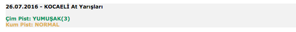 26 Temmuz 2016 Salı Kocaeli at yarışı bülteni ve tahminleri