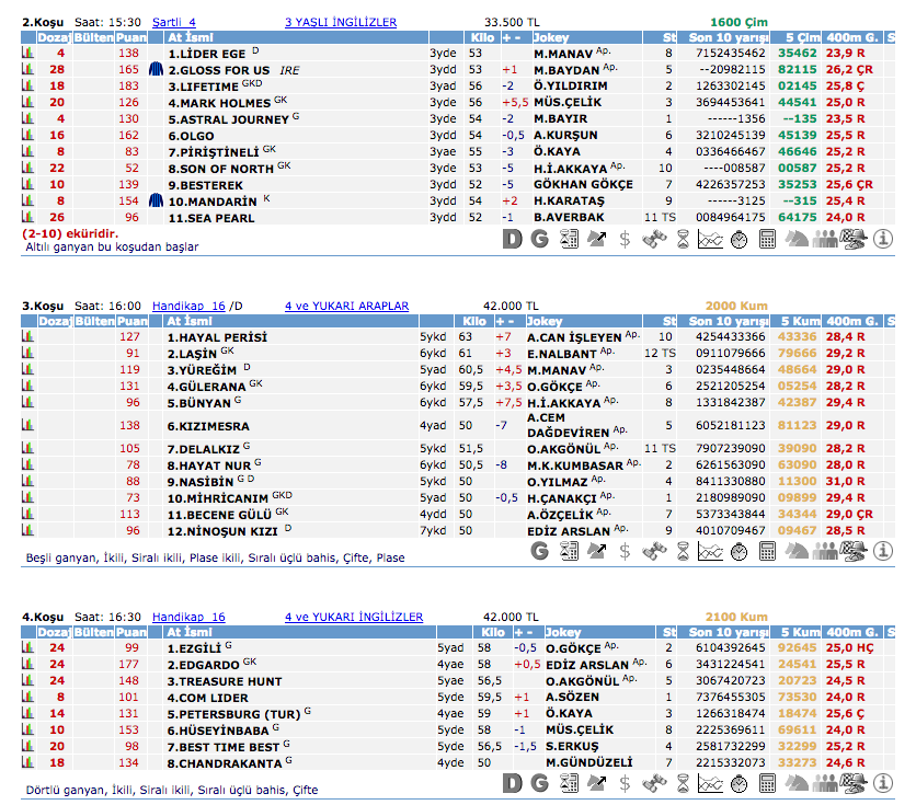 30 Temmuz 2016 Cumartesi Ankara at yarışı bülteni ve tahminleri