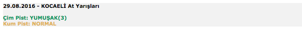 29 Ağustos 2016 Pazartesi Kocaeli at yarışı bülteni ve tahminleri