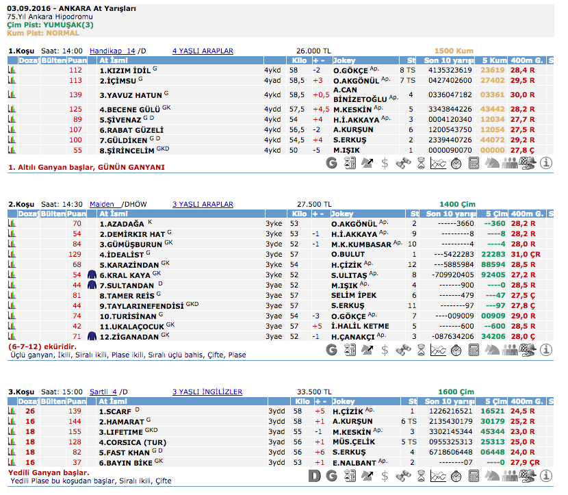 03 Eylül 2016 Cumartesi Ankara at yarışı bülteni ve tahminleri