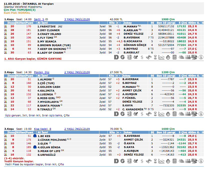İstanbul TJK at yarışı 11 Eylül 2016 altılı ganyan bülteni