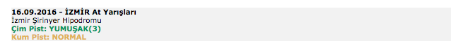 16 Eylül 2016 Cuma İzmir at yarışı bülteni ve tahminleri